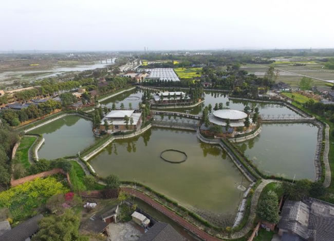 新义水乡中医药浴康养、黄龙溪古镇二日游_其它_Cmp冠军