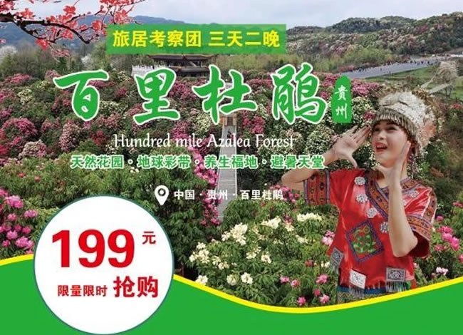 百里杜鹃旅居考察团3天2晚_海内旅游_Cmp冠军