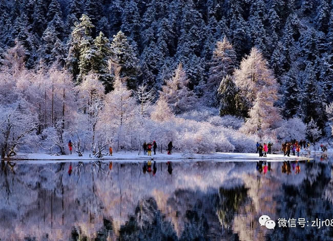 相约在冬季—赏雪线路推荐_其它_Cmp冠军