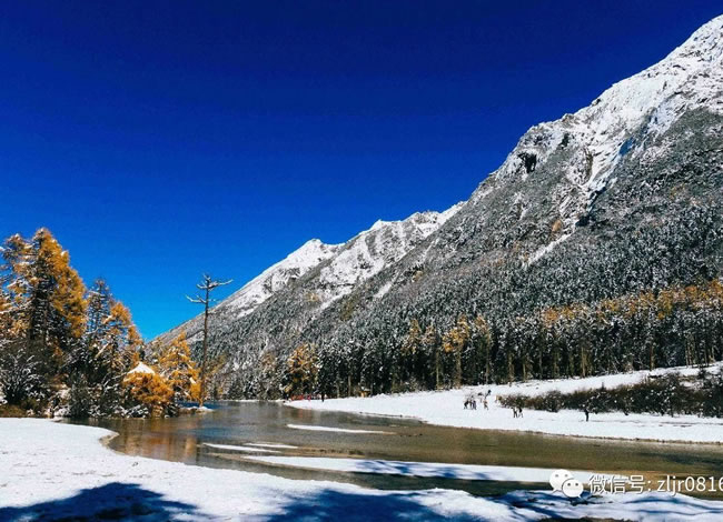 相约在冬季—赏雪线路推荐_其它_Cmp冠军