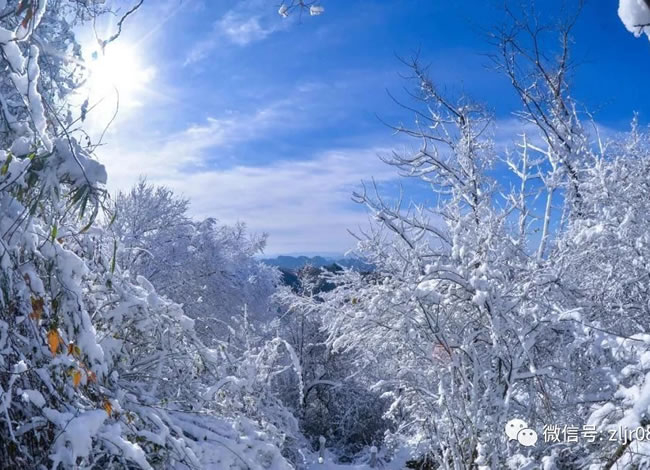 相约在冬季—赏雪线路推荐_其它_Cmp冠军