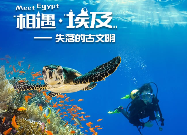 埃及阿联酋纯玩11日游_出境旅游_Cmp冠军