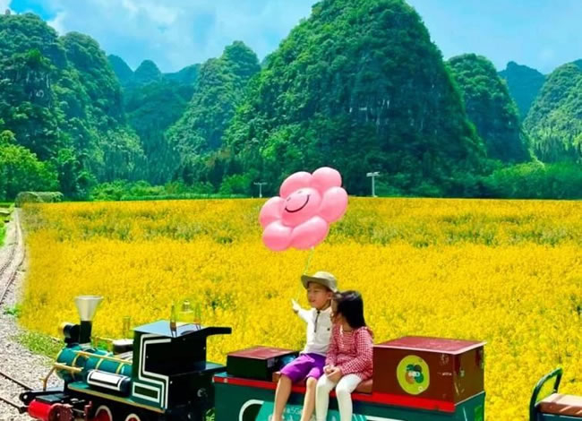 开往春天的列车—贵州赏花品质5日游_海内旅游_Cmp冠军