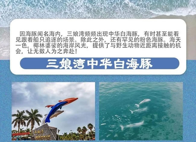 防城港万尾金滩海滨度假12日游_海内旅游_Cmp冠军