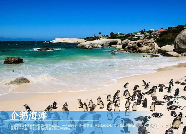 绝美南非—初见系列双飞8日_出境旅游_Cmp冠军