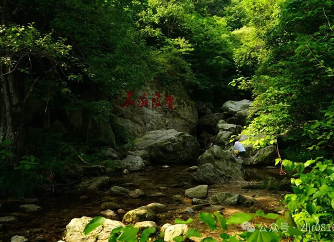 问鼎中原—河南全境纯玩双卧8日游_海内旅游_Cmp冠军
