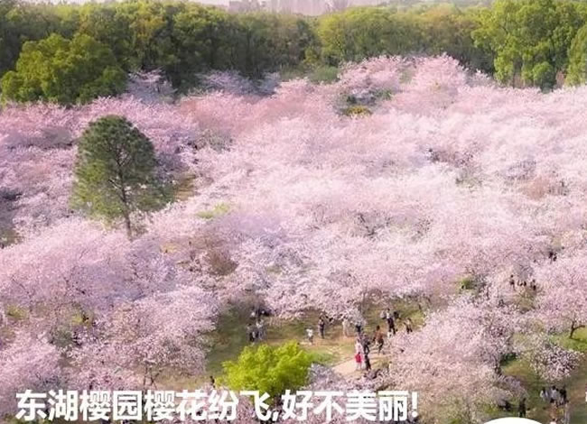 湖北全境双飞双船8日游_海内旅游_Cmp冠军