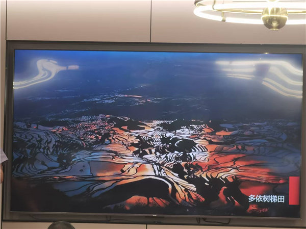 绵阳Cmp冠军行沐日旅行社举行“什邡号.2025熊猫专列”旅游线路分享会