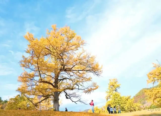 秦岭秘境-火车7日游_海内旅游_Cmp冠军