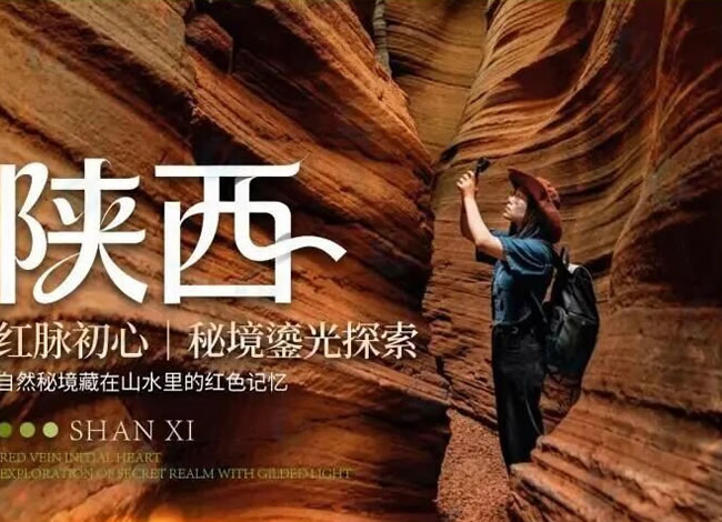 中原鎏光—什邡号熊猫专列陕西+山西+河南春日巡礼11日游_海内旅游_Cmp冠军