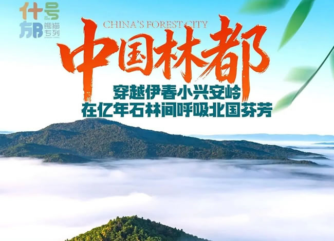 坐“熊猫”向东极—熊猫专列什邡号巡礼东北15日游_海内旅游_Cmp冠军