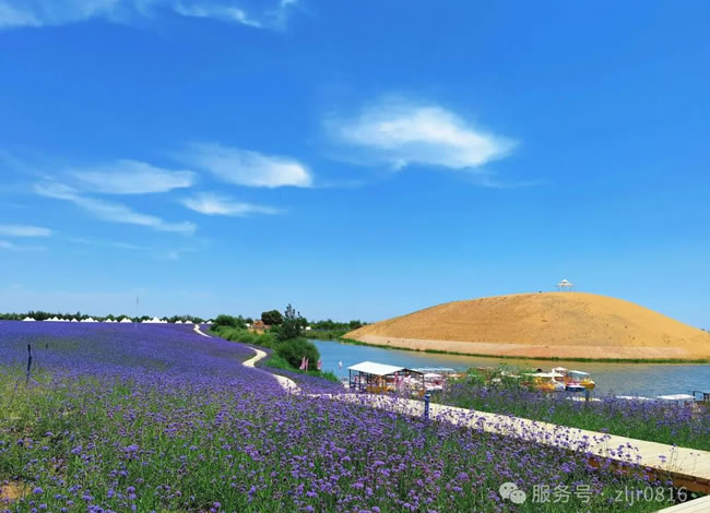 熊猫专列·塞上奇遇记—西安+银川+宁夏中卫6日游_亲子游_Cmp冠军